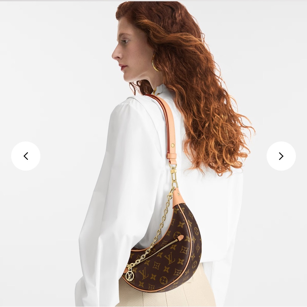 Louis Vuitton Loop Monogram Bag